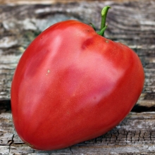 Томат Любовь да голуби F1