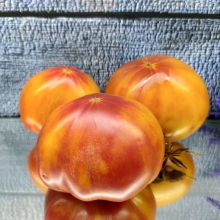 Томат Маммот Джерман Голд (Mammoth German Gold)