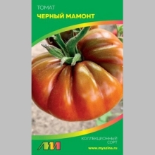 Томат Мамонт чёрный