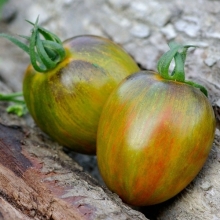 Томат Мавританская зебра