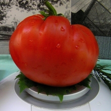 Томат Минусинские Шары (большой пакет)