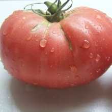 Томат Минусинский Сахарный (большой пакет)