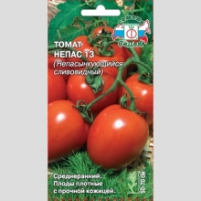 Томат Непас-13 Непасынкующийся сливовидный