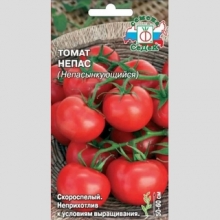 Томат Непас Непасынкующийся ®
