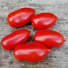 Томат Непасынкующийся Морковный