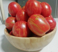 Томат Пасхальные Яйца (большой пакет)