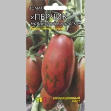 Томат Перчик малиновый в полоску