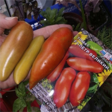 Томат Петр Великий F1