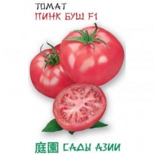Томат Пинк Буш F1