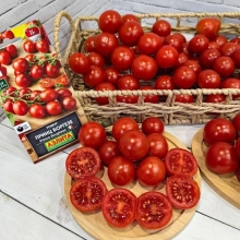 Томат Принц Боргезе (Prince Borghese)