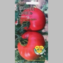 Томат Раннее диво (Early Wonder)