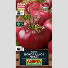 Томат Шоколадное чудо