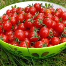 Томат Сладкий миллион