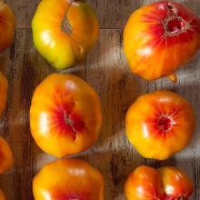 Томат Стрипт Джерман