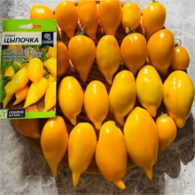 Томат Цыпочка