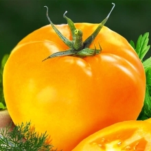 Томат Вкусносоковый Желтый