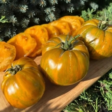 Томат Зебра желтая