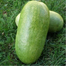 Арбуз Итальянская Торпеда (большой пакет)