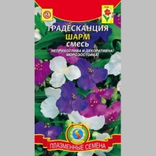 Традесканция Шарм смесь