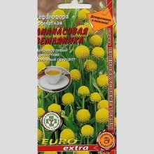 Цефалофора Ананасовая земляника (ароматная)