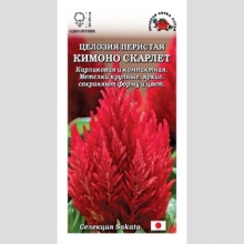 Целозия Кимоно Скарлет