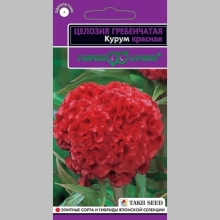 Целозия Курум красная (гребенчатая)