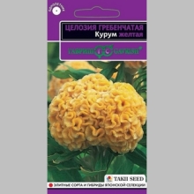 Целозия Курум желтая (гребенчатая)