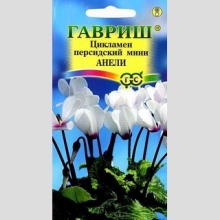 Цикламен Анели персидский