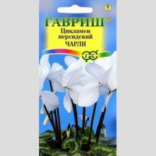 Цикламен Чарли персидский