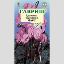 Цикламен Марк персидский