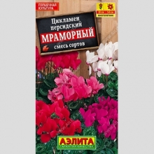 Цикламен Мраморный персидский смесь сортов
