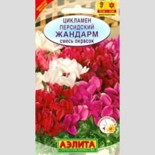Цикламен Жандарм персидский смесь