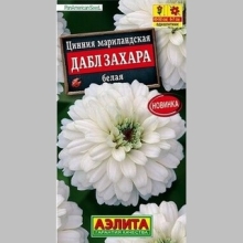 Цинния Дабл Захара белая