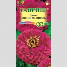 Цинния Исполин малиновый
