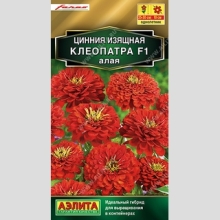 Цинния Клеопатра F1 алая