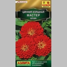Цинния Мастер Алая