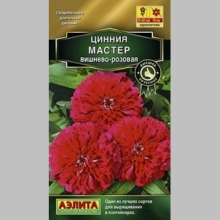 Цинния Мастер Вишнево-розовая