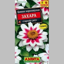 Цинния Захара Старлайт Роуз