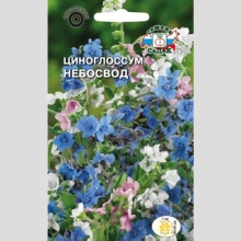 Циноглоссум Небосвод (чернокорень)