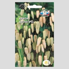 Бриза Максима Аллегро ( трясунка большая)