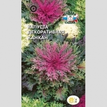 Капуста Канкан