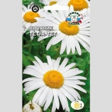 Нивяник Тет-а-тет (крупноцветковый)