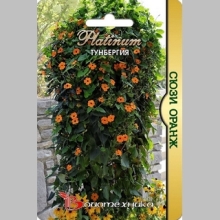 Тунбергия Сюзи F1 Оранж