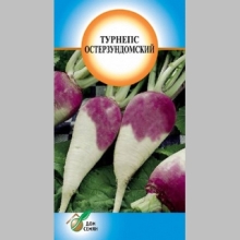 Турнепс Остерзундомский