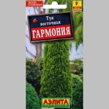 Туя Гармония восточная