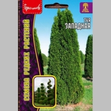 Туя Западная (большой пакет)