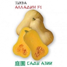 Тыква Алладин F1