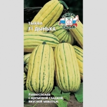 Тыква Дынька F1