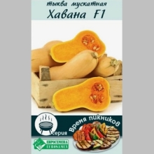Тыква Хавана F1
