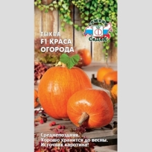 Тыква Краса Огорода F1